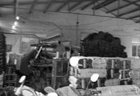 普通注塑機(jī)、吹塑機(jī)加工，成品瑕疵多，質(zhì)量低廉，桶蓋不配套生產(chǎn)加工，產(chǎn)品防泄漏性差，使用年限較短，大部分為一次性使用